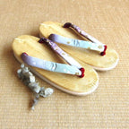 2009-ZOU011-3