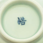 1009-VAJ017-1