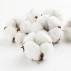 1009-FUT007-1