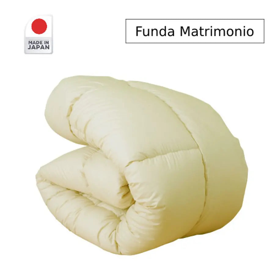 1009-FUT001
