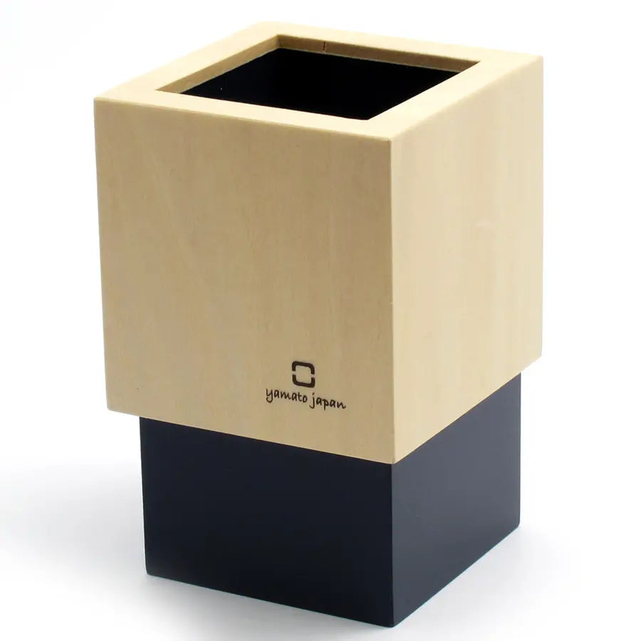 1009-PAP010